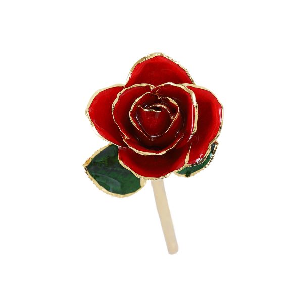 IMG_0390.jpg 24k Gold Dipped Rose