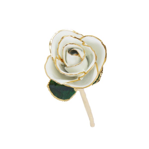 IMG_0394.jpg 24k Gold Dipped Rose