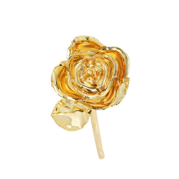 IMG_0395.jpg 24k Gold Dipped Rose