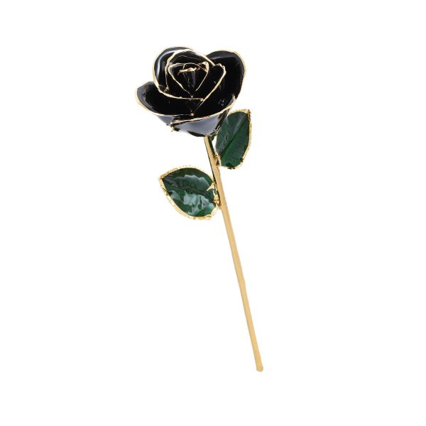 IMG_0402.jpg 24k Gold Dipped Rose