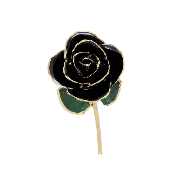 IMG_0403.jpg 24k Gold Dipped Rose