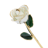white_43e76427-9d0d-404a-a301-553c161c0a3e.png 24k Gold Dipped Rose
